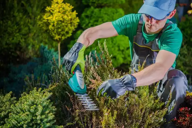 landscaping services Indian Point